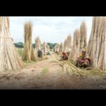 उत्तराखंड में भारी बारिश का अलर्ट, सीएम धामी ने की अपील…