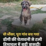 सावन के दौरान सोमवार को बंद रहेंगे स्कूल