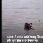 उत्तराखंड में शुरू हुआ ऑपरेशन कालनेमिः पहले दिन पुलिस ने 38 ढोंगी बाबाओ को पकड़ा, एक बांग्लादेशी भी गिरफ्तार