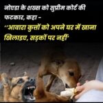 भक्ति की मिसाल ! जंजीरों में खाटू श्यामजी पहुंचा भक्त:जानें क्या है पूरा मामला