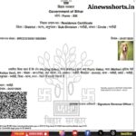 दिल्ली मेट्रो में चलती ट्रेन से सोने के बिस्किट चोरी