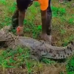 बिहार बैंक से लूटा 3KG से ज़्यादा सोना…