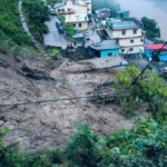 कानपुर में कॉलेज से लौट रही बीबीए छात्रा को आवारा कुत्तों ने घेरा, नोंच लिया चेहरा, 17 टांके लगाकर सिलना पड़ा गाल