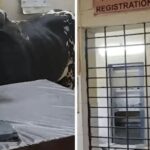 महिला ने पुरुष बनकर रिश्तेदार के घर से लूटे 1 करोड़ रुपये से ज्यादा के गहने, गिरफ्तार