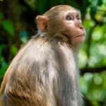 जनता की सेवा में लगे रहते तो अच्छा होता.. असीम अरुण ने गाजियाबाद में सलामी लेने से कर दिया इनकार, मिलाया हाथ