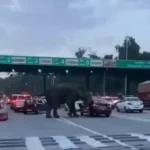 आत्मविश्वेश्वर महादेव मंदिर के गर्भगृह में लगी भीषण आग