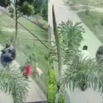 केरल: पलक्कड़ में स्कूल के बाहर मिला विस्फोटक