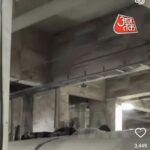 गोल्ड पर No Tariff… फेस्टिव सीजन में भारतीयों के लिए ‘गिफ्ट कार्ड’ साबित होगा ट्रंप का फैसला ?