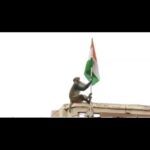 डोनाल्ड ट्रंप पर हावी थे पुतिन… यूक्रेन में नहीं हुआ युद्धविराम, अलास्का शिखर सम्मेलन नाकाम