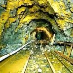 भारत के सपोर्ट में आया चीन, डोनाल्ड ट्रंप के ‘टैरिफ बम’ पर बोला तीखा हमला