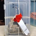 भारत ने बना लिया मेगा न्यूक्लियर रिएक्टरINS अरिहंत से भी दोगुना ताकतवर