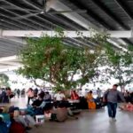 दुलारचंद के पोते के आरोप’अनंत सिंह ने कराई हत्या हम… AK-47 नहीं रखते’