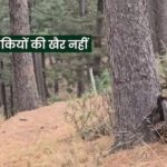 UP: शिक्षकों के लिए सरकार का बड़ा फैसला, पढ़े पूरी खबर