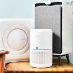 बांग्लादेशी मुस्तफ़िज़ुर रहमान को तुरंत अपनी टीम से हटाओ BCCI का KKR को सख्त निर्देश