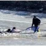 दाल से 30% टैक्स हटाए भारत’ ट्रेड डील पर बातचीत के बीच ट्रंप को सीनेटरों की चिट्ठी