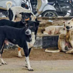 Budget 2026: 26 साल बाद पहली बार रविवार को पेश होगा आम बजट, मिली मंजूरी